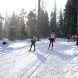 В Зеленограде состоялся костюмированный лыжный забег