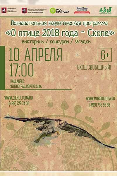 e-kologicheskoj-programme-posvyashhennoj-ptitse-goda