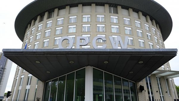 Евросоюз не поддержал в ОЗХО проект России по "делу Скрипаля"