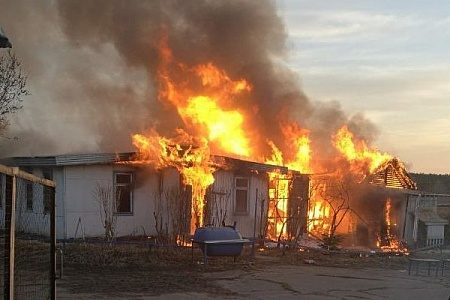 В кинологическом центре на «Восточке» произошел пожар
