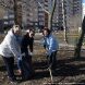 Зеленоград вышел на субботник