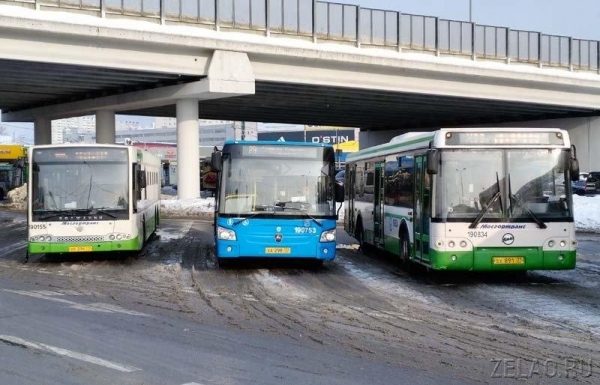 На летний период введены новые автобусные маршруты от Зеленограда