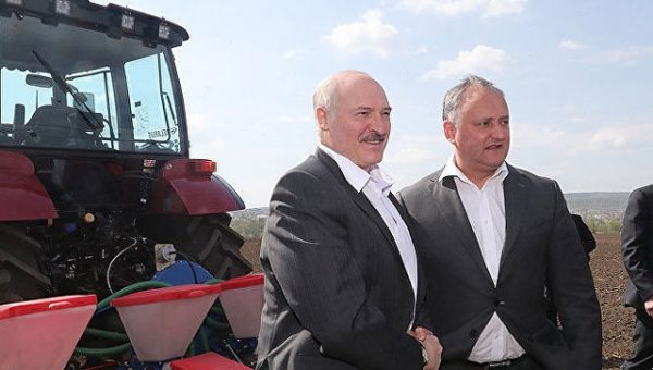 За рулем тракторов в пиджаках: Лукашенко и Додон посадили кукурузу
