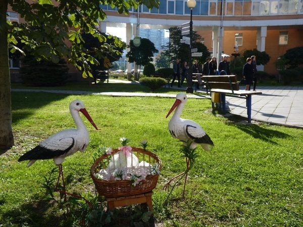 День открытых дверей в роддоме