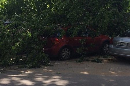 Ветер повалил дерево на припаркованные около железной дороги машины