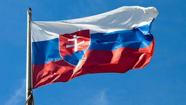В Словакии задержали представителей правоэкстремистского движения