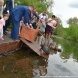 Префект Анатолий Смирнов выпустил на Быковом болоте черных лебедей