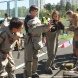 В Зеленограде прошли окружные соревнования «Школа безопасности»