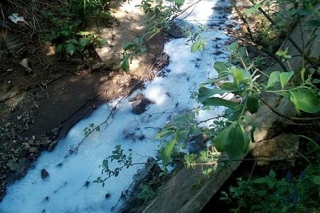 В приток реки Сходни слили вещество белого цвета с химическим запахом
