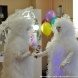 В Центральной детской библиотеке Зеленограда открыта гостиная сказок