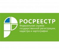 Количество онлайн обращений в Росреестр по Москве выросло в 42 раза за два года