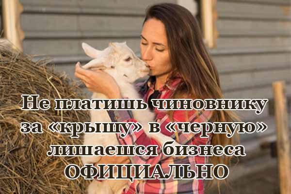 ne-platish-chinovniku-za-kry-shu-v-chernuyu-lishaeshsya-biznesa-ofitsial-no