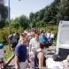 На берегу Школьного озера состоялась гонка на самокатах