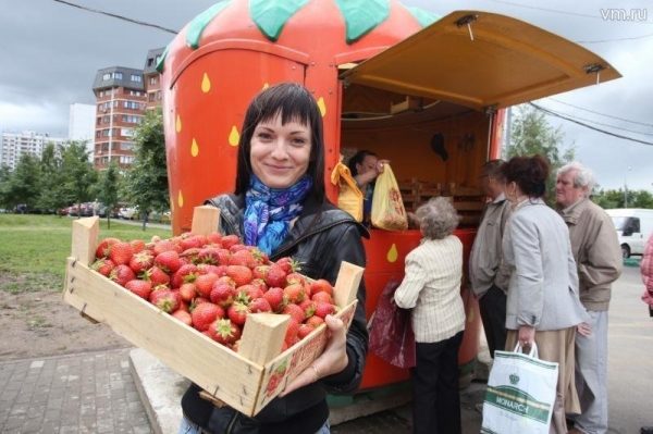 С середины июня в Зеленограде заработают лотки по продаже клубники и земляники