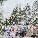 В Зеленограде отметили День семьи, любви и верности