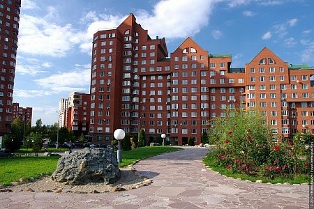 Компания молодежи похитила двух черепах из вольера в МЖК