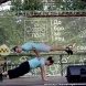 В Зеленограде отметили День семьи, любви и верности
