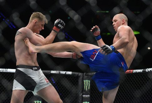 Смотрим Небоскрёб и Львиное Сердце: не пропустите турнир UFC Fight Nights 134 на «Матч ТВ»
