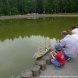 На Дунькином пруду в 12 микрорайоне прошла парусная регата