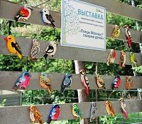 В «Доме лани» открылась выставка «Птицы Москвы глазами детей»