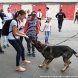 В Зеленограде прошла экскурсия для детей в территориальный отдел полиции
