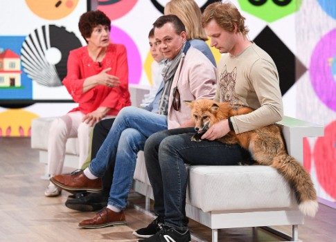 В погоне за Youtube: почему шоу «Видели видео?» на Первом канале отдает нафталином, но все равно обречено на успех
