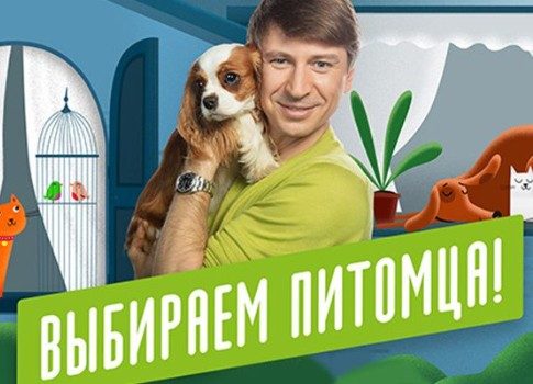 Найти себе друга: не пропустите премьеру нового ток-шоу «Выбираем питомца» на канале «Живая Планета»