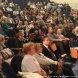 Зеленоградцам рассказали о праздновании Дня города в округе