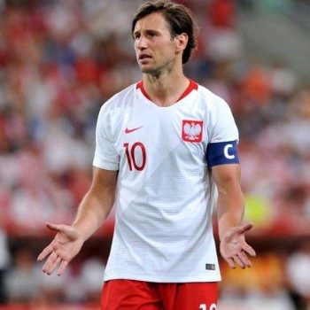 Крыховяк, Эрнандес, Жиго и К°: главные новички чемпионата России по футболу