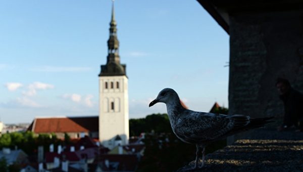 В Эстонии отметят годовщину восстановления независимости
