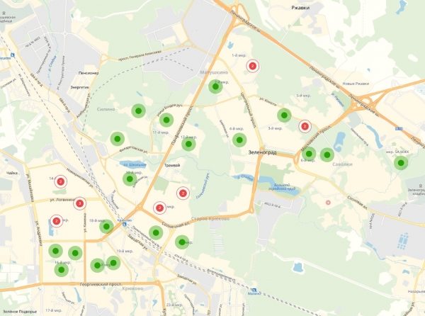 Фестиваль «Цветочный джем» стартует в Зеленограде 30 августа