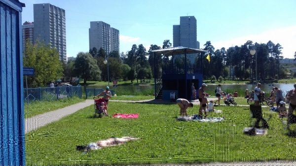 Проверка зон отдыха в Зеленограде