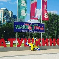 Зеленоградцы познакомились с авиамодельным спортом