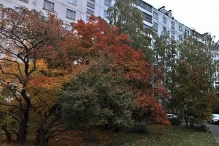 В квартире в центре города обнаружили пролежавший больше недели труп