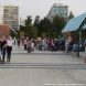 На площади Юности проходит фестиваль «Цветочный джем»