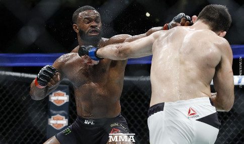 Избранный против Гориллы: не пропустите турнир UFC 228 на «Матч ТВ»