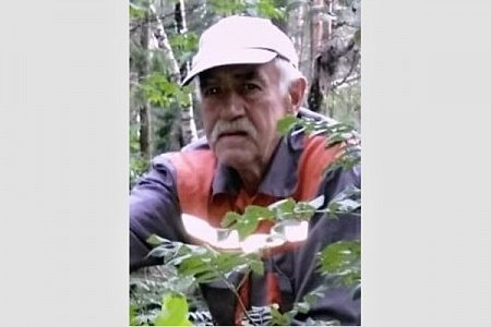 Разыскивается пропавший в лесу под Зеленоградом пенсионер