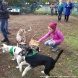 Зеленоградцы познакомились с питомцами муниципального приюта для собак