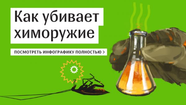 Племянница Скрипаля захотела встретиться с Бошировым и Петровым