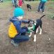 Зеленоградцы познакомились с питомцами муниципального приюта для собак