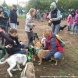 Зеленоградцы познакомились с питомцами муниципального приюта для собак