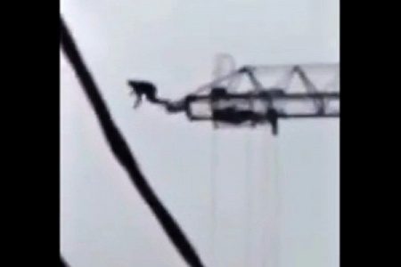 Полицейский из Зеленограда разбился при прыжке с башенного крана