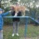 Зеленоградцы познакомились с питомцами муниципального приюта для собак