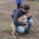 Зеленоградцы познакомились с питомцами муниципального приюта для собак