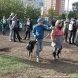 Зеленоградцы познакомились с питомцами муниципального приюта для собак