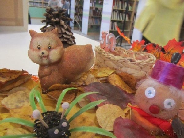 В районе Силино прошел традиционный осенний праздник-конкурс «Моя любимая дача»