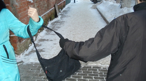 Полицейскими УВД Зеленограда задержан подозреваемый в грабеже