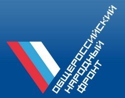 Активисты ОНФ вновь помогли нуждающимся