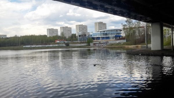 Тело 40-летней женщины найдено возле пруда в Зеленограде