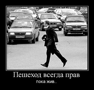 Пешеходы и водители: как сохранить жизнь и свободу